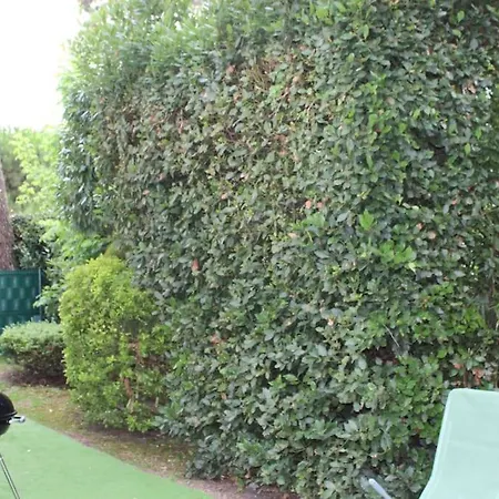 Appartement Entierement Renove A Ronce Les Bains Avec Jardin Exterior foto